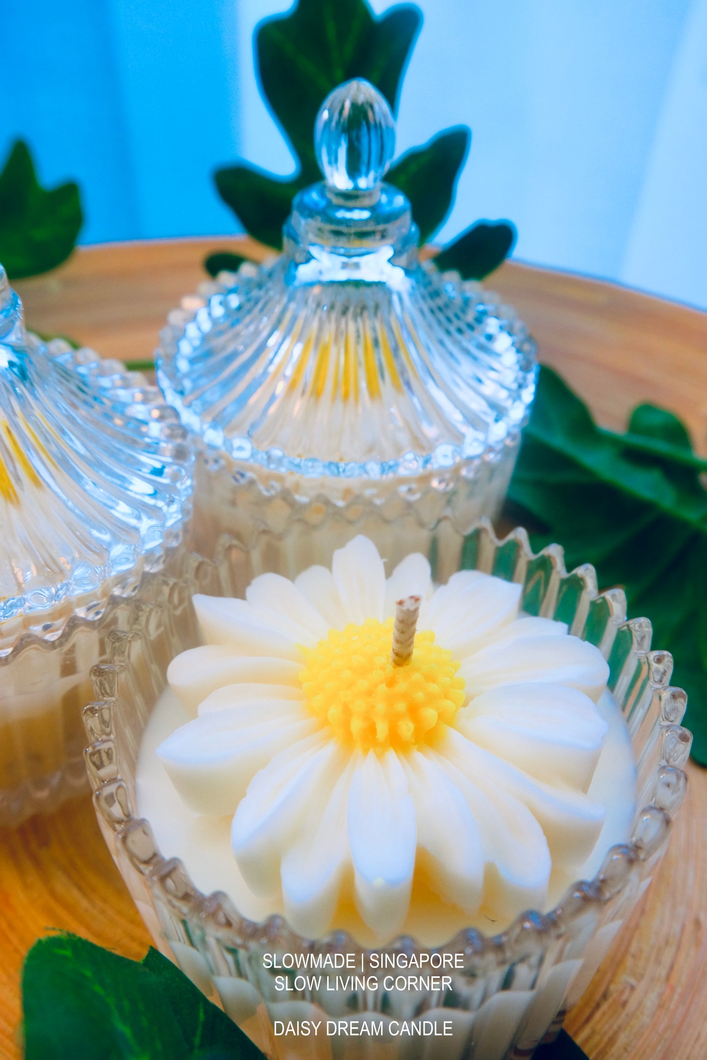 [Candle] Daisy and Sunflower Candles