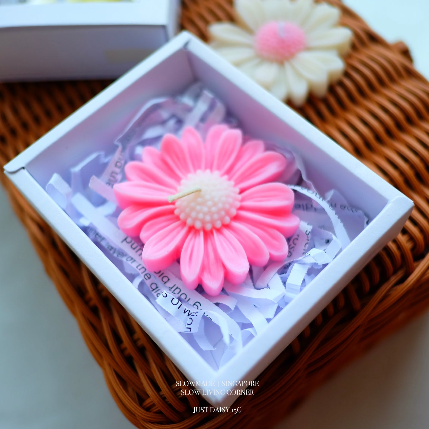 [Candle] Just Daisy