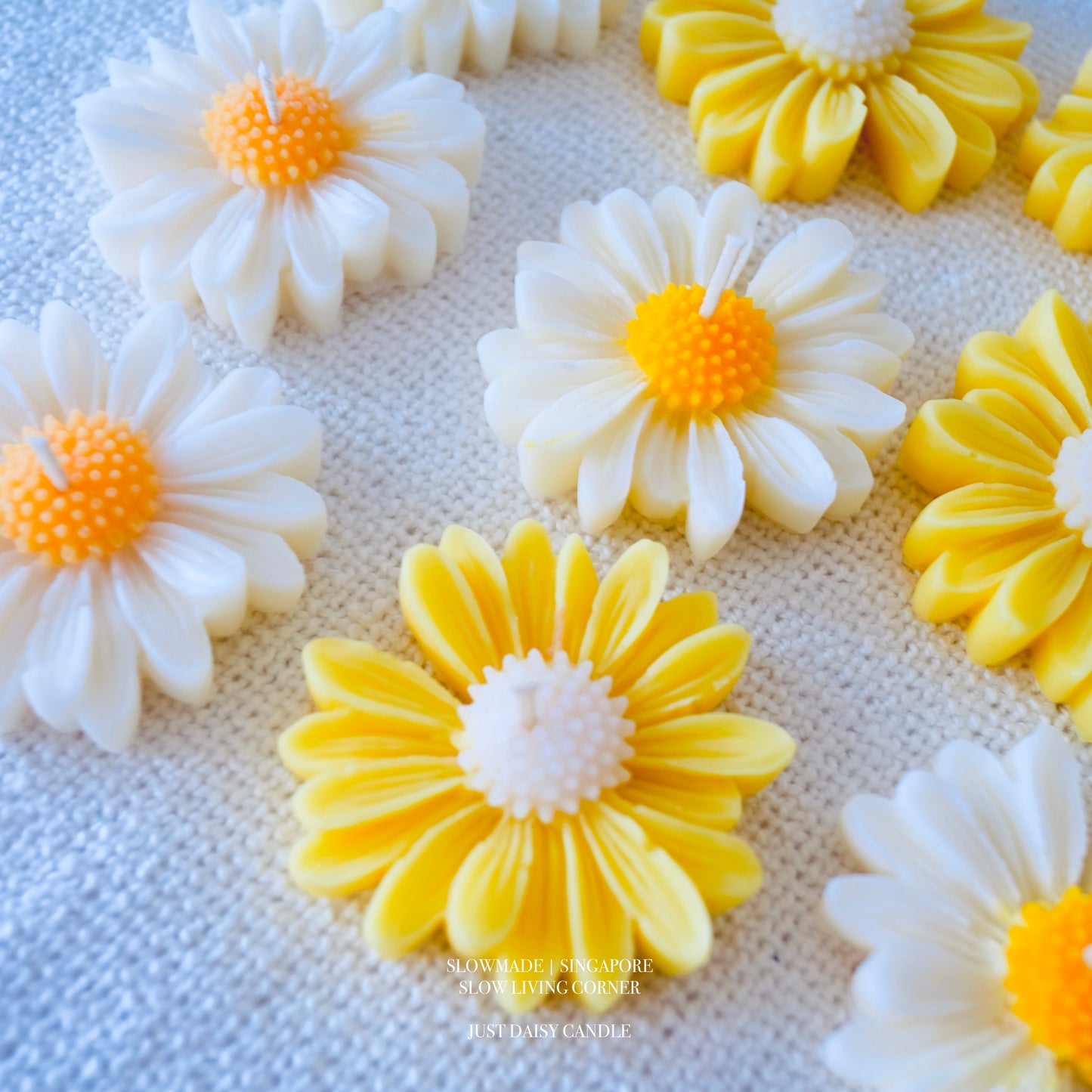 [Candle] Just Daisy