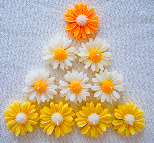 [Candle] Just Daisy