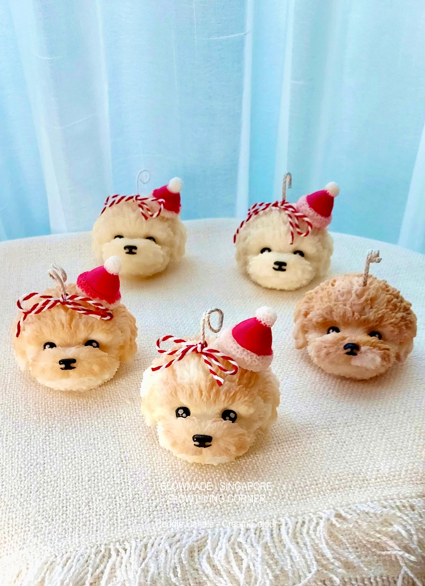 [Candle] Poodle