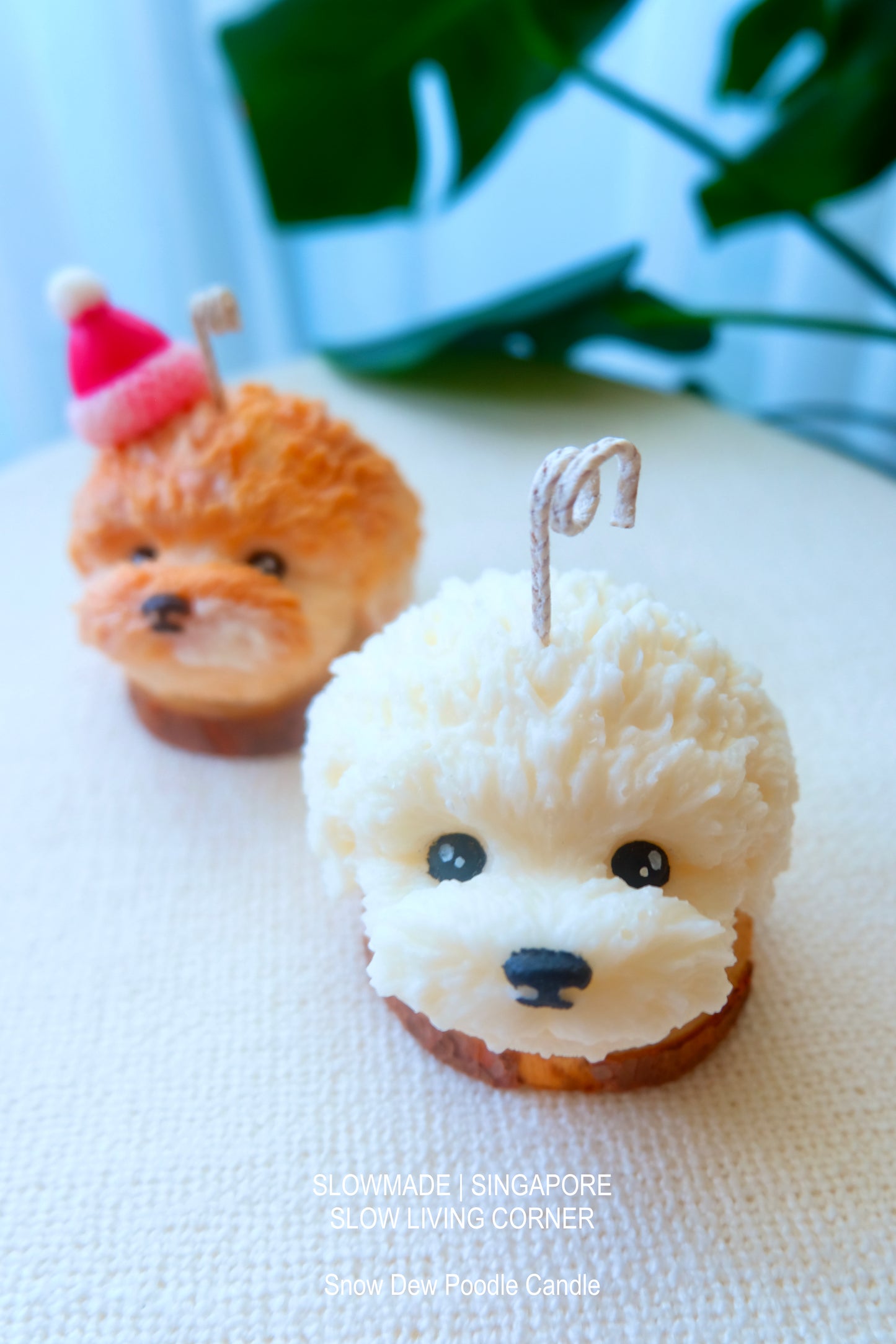 [Candle] Poodle