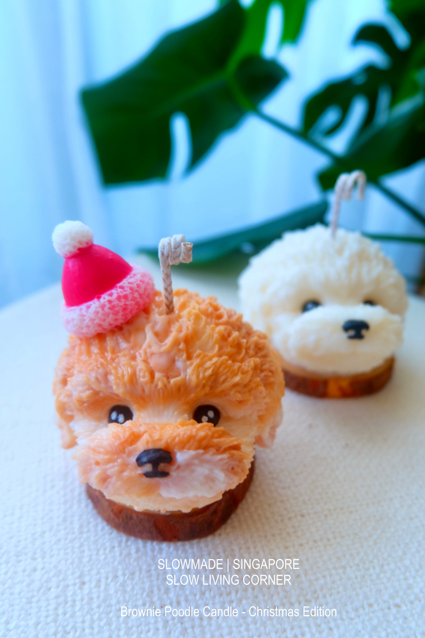 [Candle] Poodle