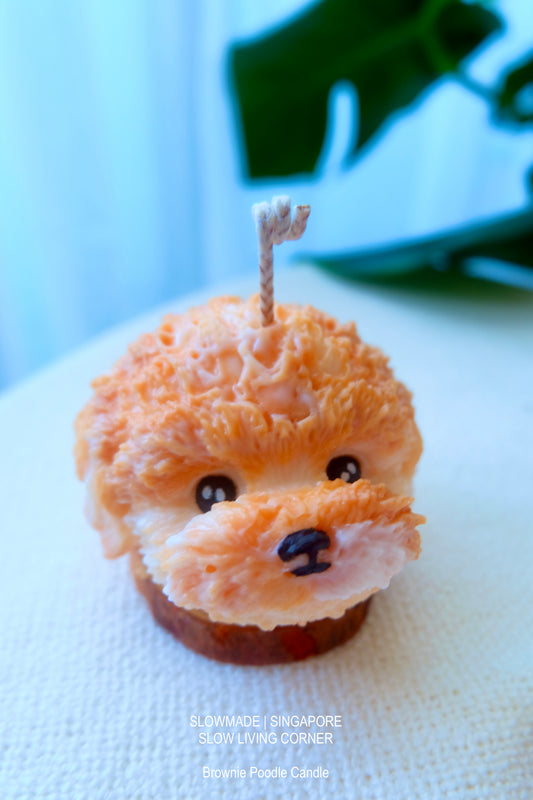 [Candle] Poodle