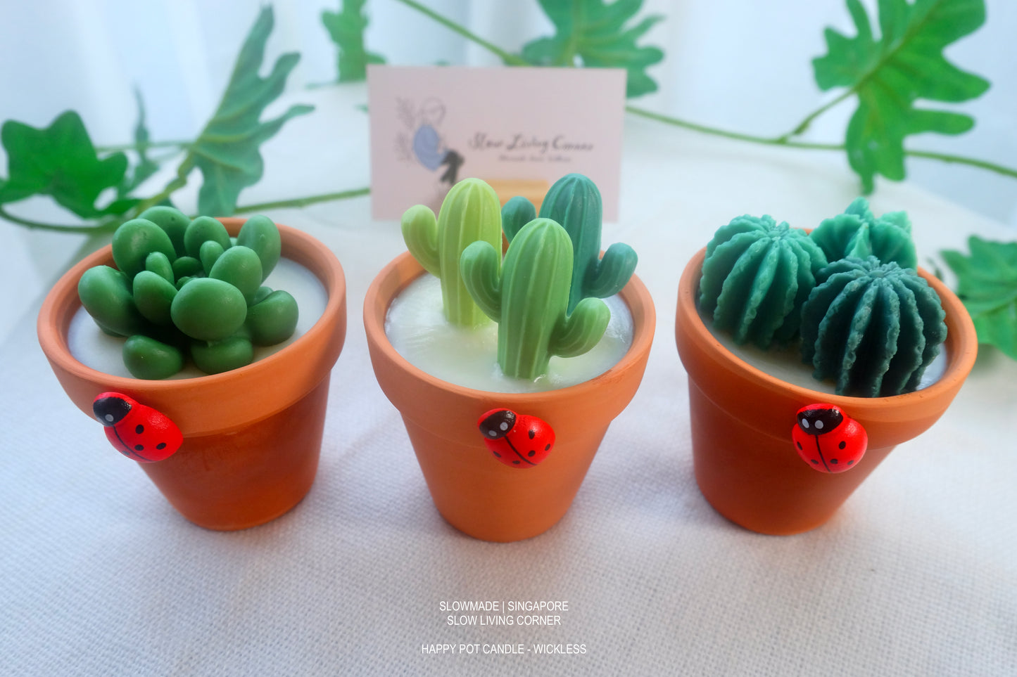 [Candle] Blissful Pot (S)