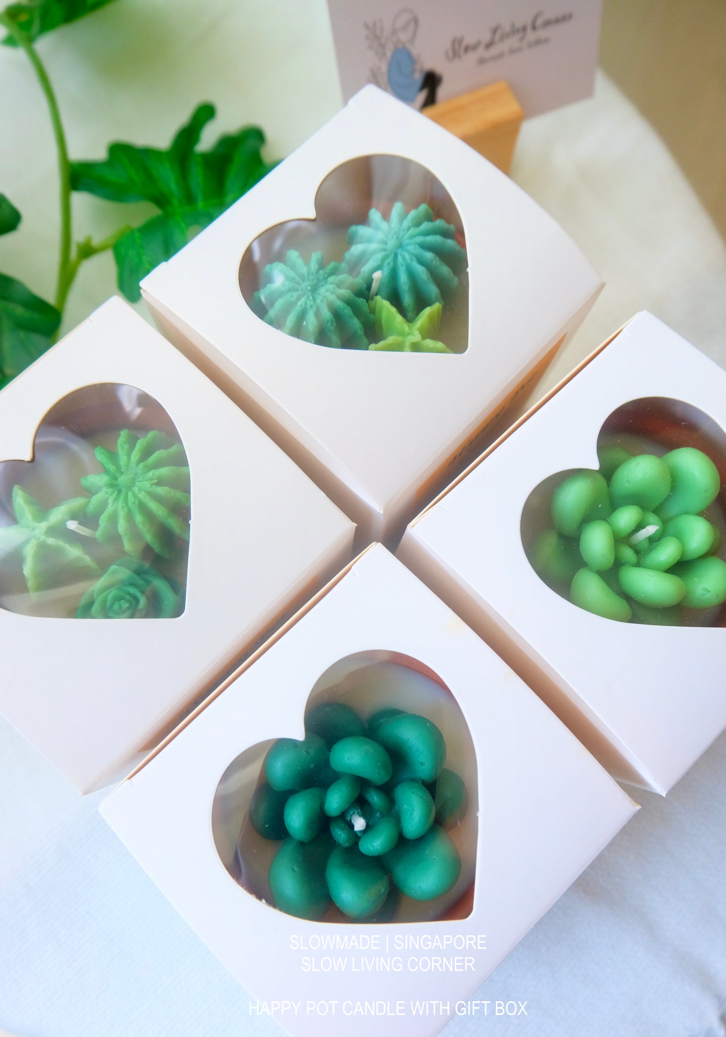 [Candle] Blissful Pot (S)